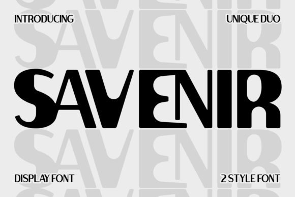 Savenir: Bold Display Font for Campaign Design